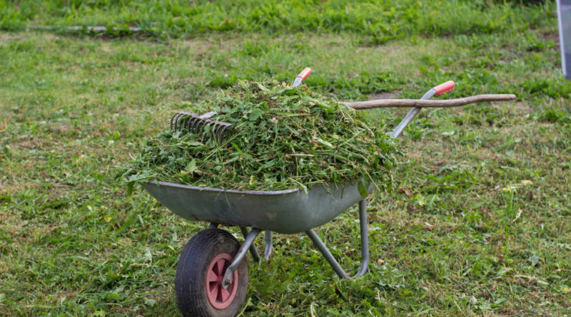 organic gardening