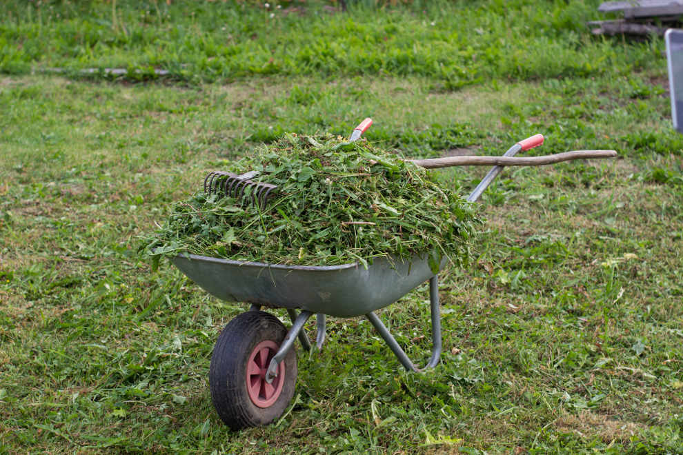 organic gardening